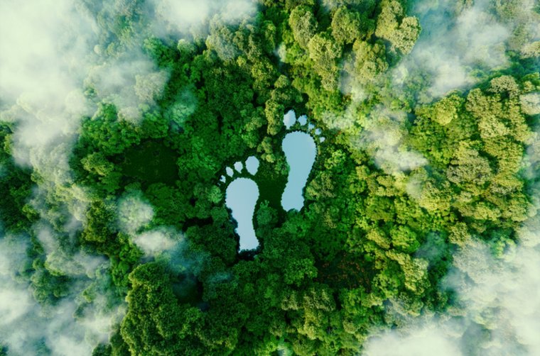 Nachhaltig Leben: Umwelt schonen und Geld sparen Nachhaltig Leben: Umwelt schonen und Geld sparen