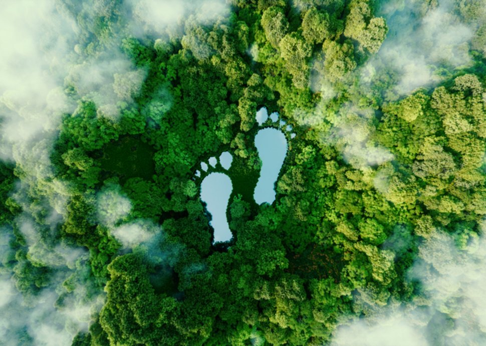 Nachhaltig Leben: Umwelt schonen und Geld sparen Nachhaltig Leben: Umwelt schonen und Geld sparen