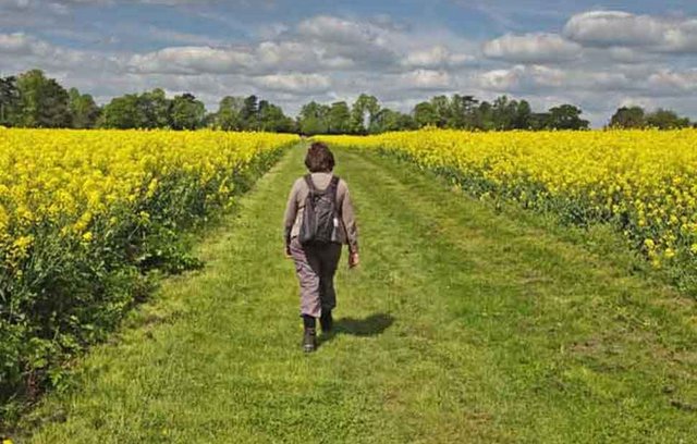 Neun Gründe, warum Wandern gesund ist