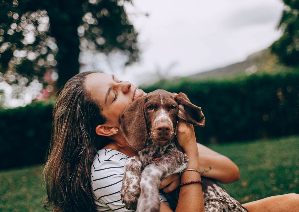 Beim Dogsharing steht das Wohl des Hundes im Mittelpunkt.