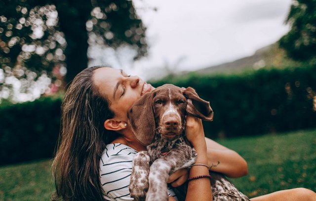 Beim Dogsharing steht das Wohl des Hundes im Mittelpunkt.