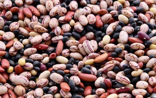Fit im Kopf: Ernährung für ein starkes Gehirn