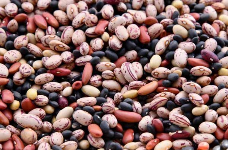 Fit im Kopf: Ernährung für ein starkes Gehirn