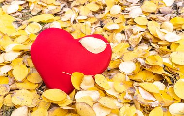 Wenn Gefühle verschwinden: Warum Frauen Beziehungen beenden