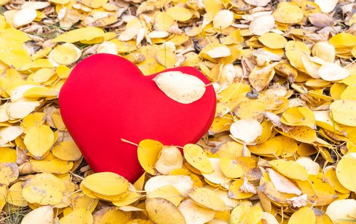 Wenn Gefühle verschwinden: Warum Frauen Beziehungen beenden