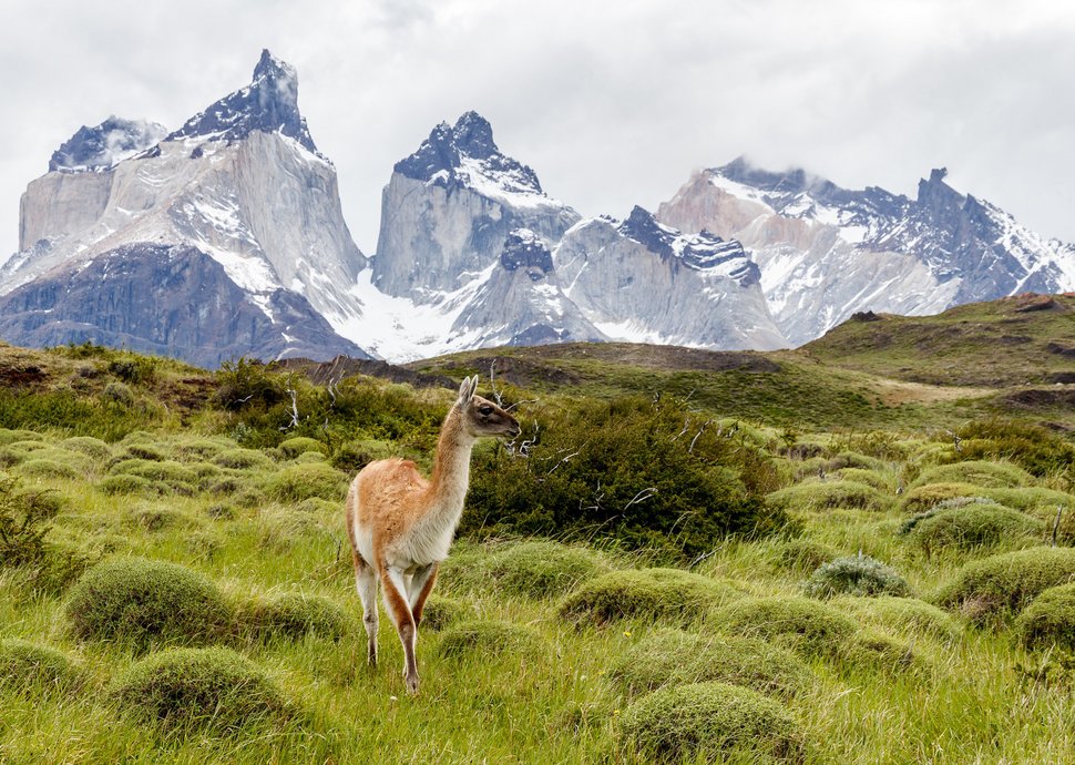 Kaum eine Region auf der Welt ist so vielfältig wie Patagonien. 