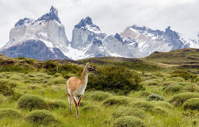 Kaum eine Region auf der Welt ist so vielfältig wie Patagonien. 