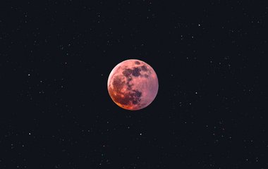 Welcher Biorhythmus-Typ hat mehr vom Leben – Lerche oder Eule? Welcher Biorhythmus-Typ hat mehr vom Leben – Lerche oder Eule?