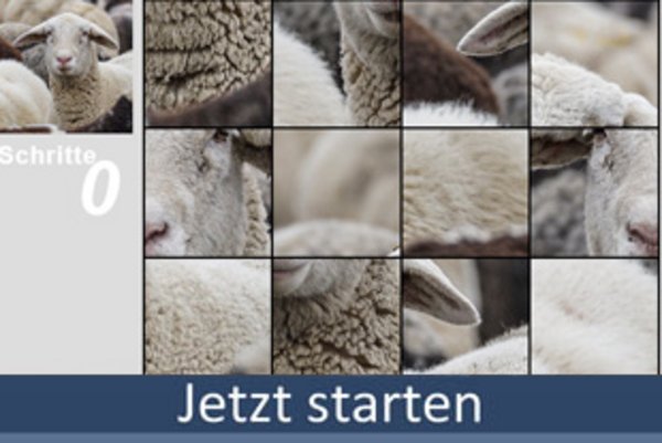 Puzzle 16-Teile spielen bei 50PLUS.de