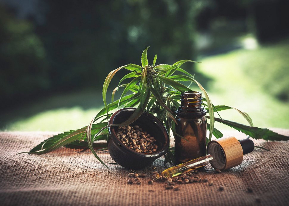 Bild: CBD-Öl wird aus der Cannabispflanze gewonnen, hat jedoch keine berauschende Wirkung. Bild: CBD-Öl wird aus der Cannabispflanze gewonnen, hat jedoch keine berauschende Wirkung.