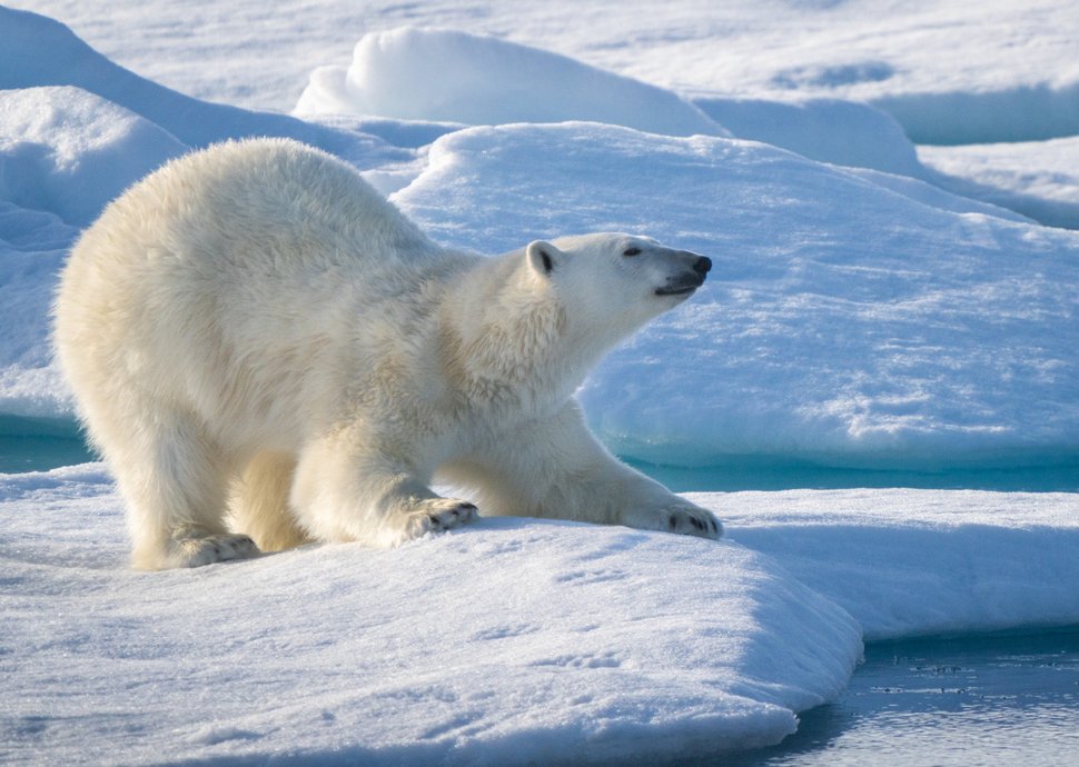 Abenteuer auf Spitzbergen