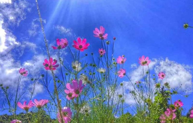 Was Sonne mit unseren Gefühlen macht