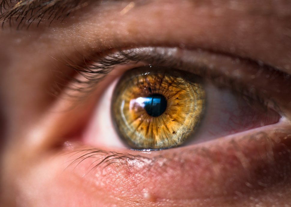 Gut sehen dank der Ringelblume gereizte Augen, gerötete Augen, trockene Augen, Augen