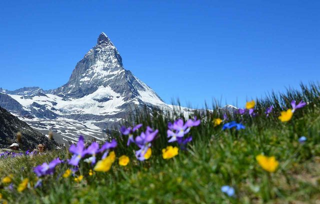 Für einen Umzug aus der Schweiz muss einiges beachtet werden.