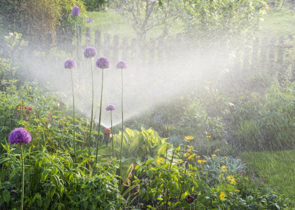 Garten bewässern – aber richtig!