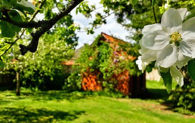 Ein  gut strukturierter Garten macht Freude.