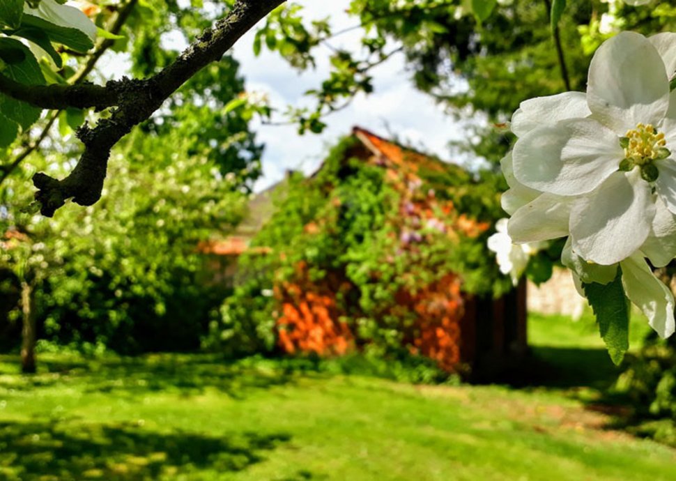 Ein  gut strukturierter Garten macht Freude.