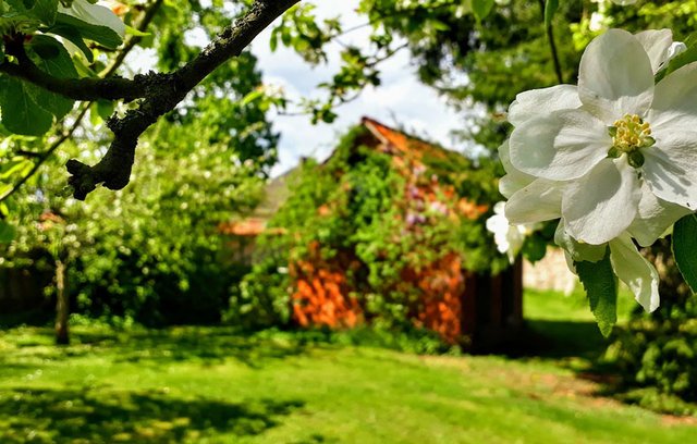 Ein  gut strukturierter Garten macht Freude.