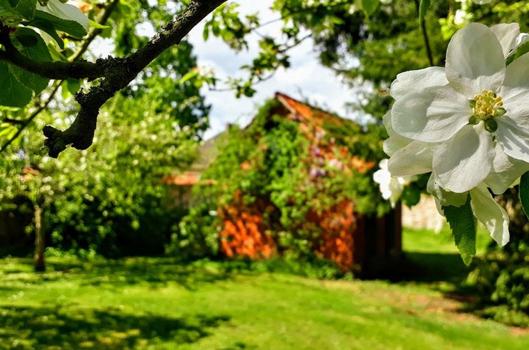 Ein  gut strukturierter Garten macht Freude.