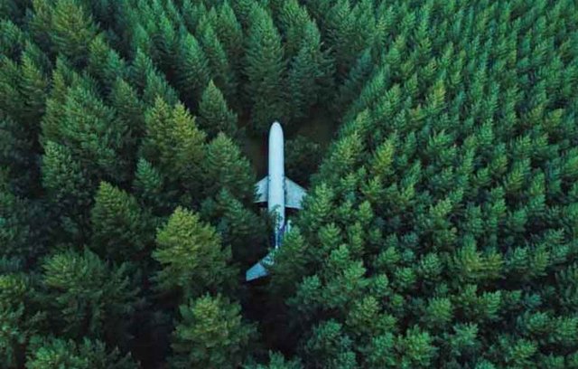 Kann man ohne schlechtes Gewissen ins Flugzeug sitzen?