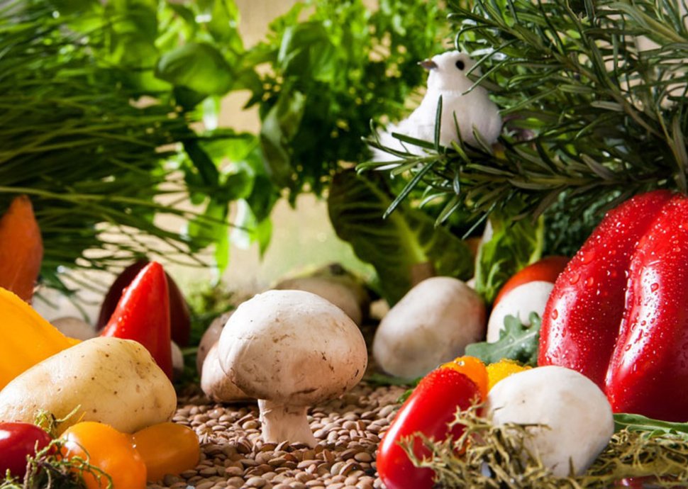 Hochwertige Bioprodukte sind wichtig für die Gesundheit. Hochwertige Bioprodukte sind wichtig für die Gesundheit.