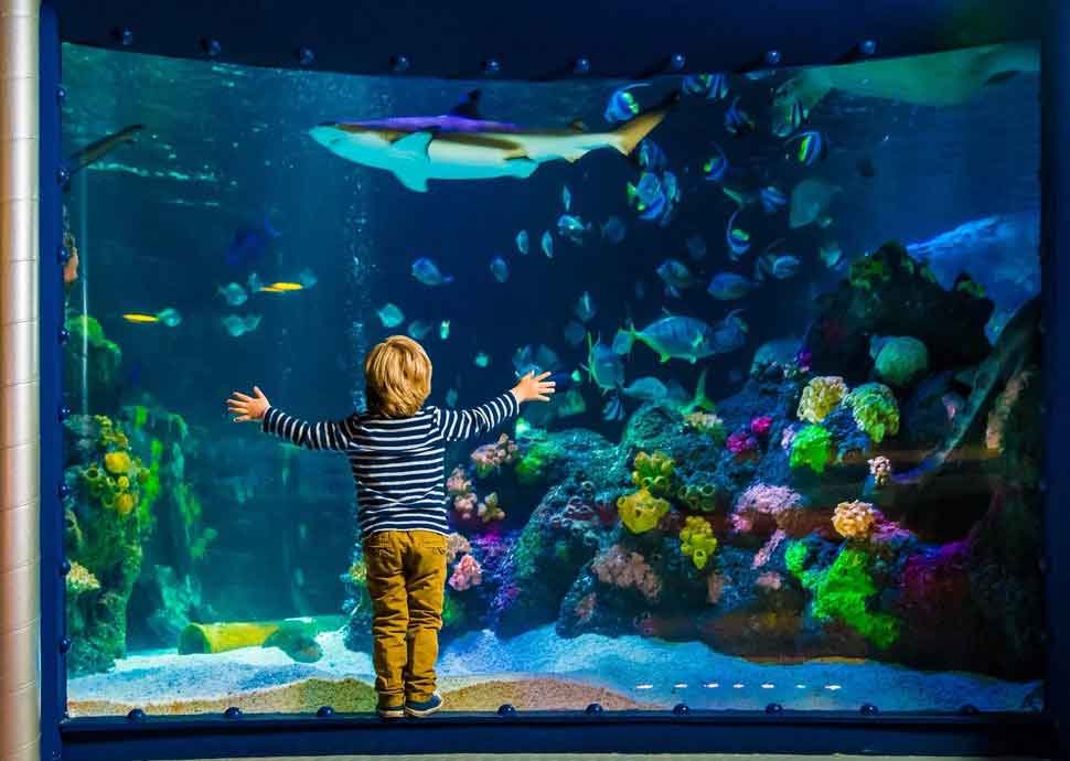 Sea Life Konstanz Sea Life Konstanz