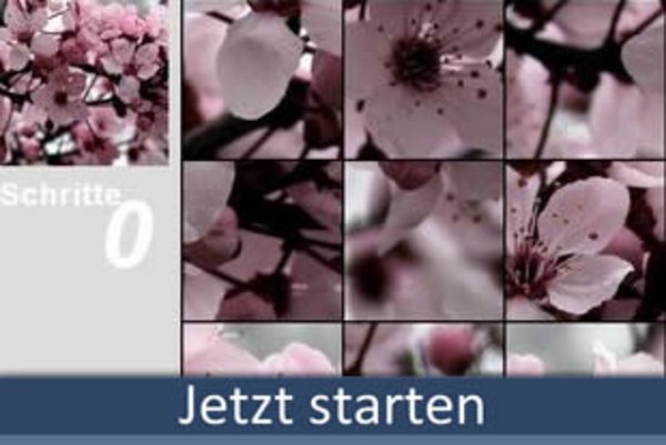 Puzzle 49-Teile spielen bei 50PLUS.de