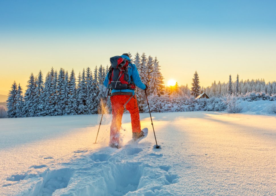 Eisige Leidenschaft: Vielfalt im Schneesport