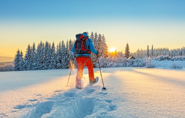 Eisige Leidenschaft: Vielfalt im Schneesport