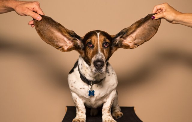 5 Übungen für ein gutes Gehör 