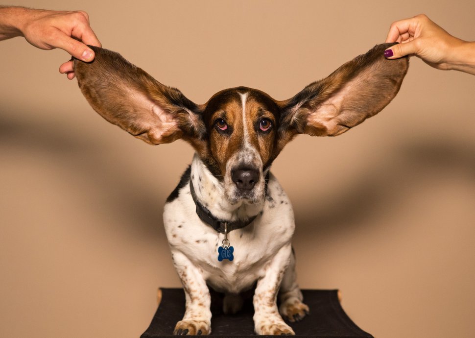5 Übungen für ein gutes Gehör 