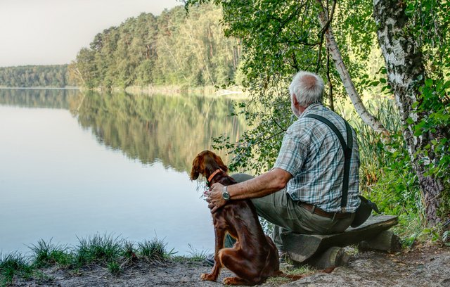 Tierische Medizin: Wenn Tiere mehr bewirken als Pillen