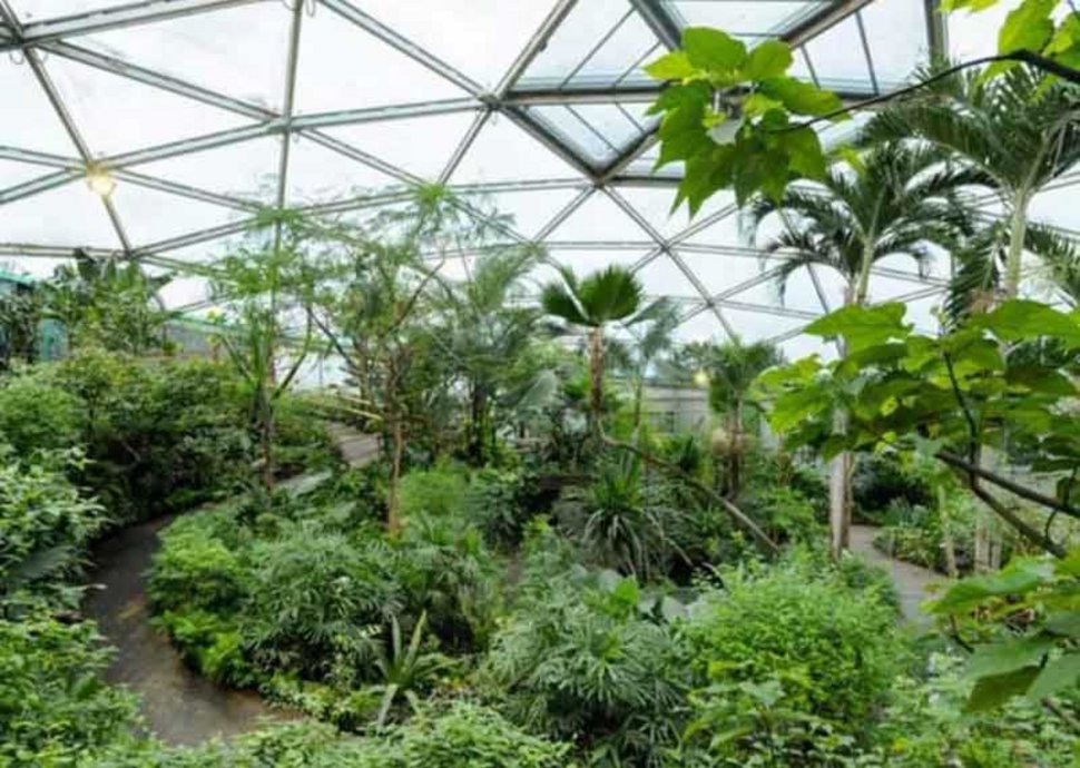 Papiliorama, Ausflugsziel, Ausflüge Kerzers Papiliorama, Ausflugsziel, Ausflüge Kerzers