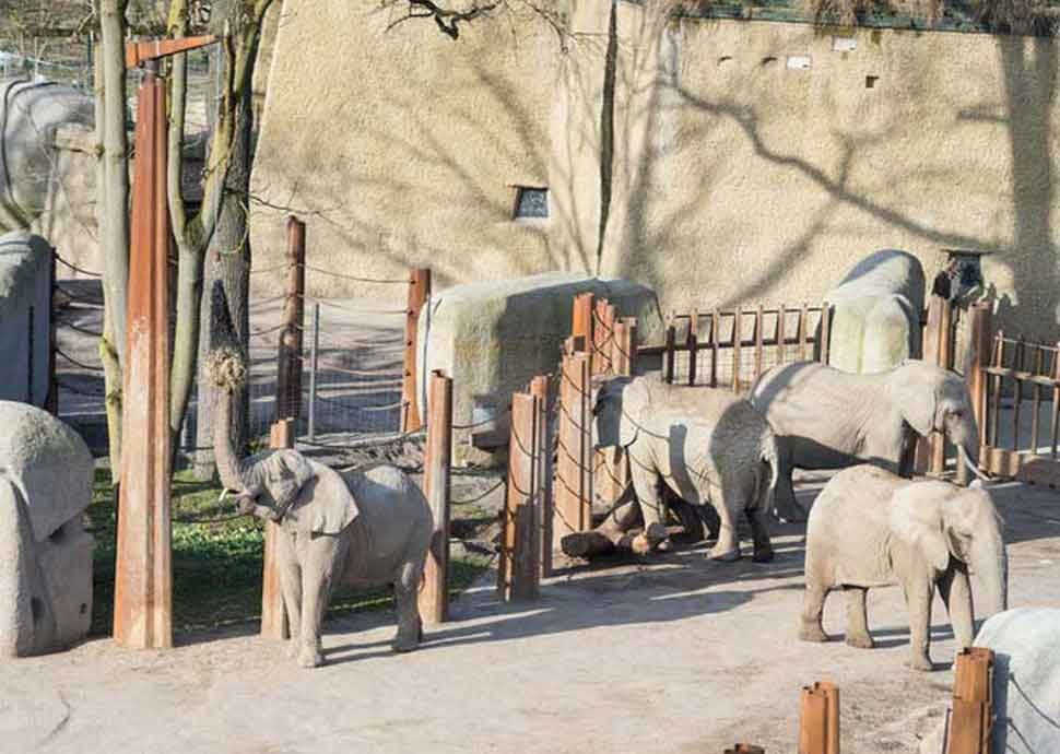 Zoo Basel, Ausflugsziel Basel, Zolli Zoo Basel, Ausflugsziel Basel, Zolli
