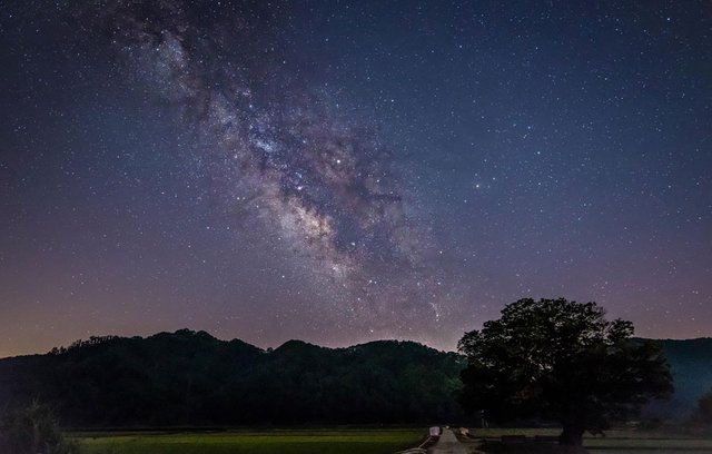 Ein Stern als Geschenk.