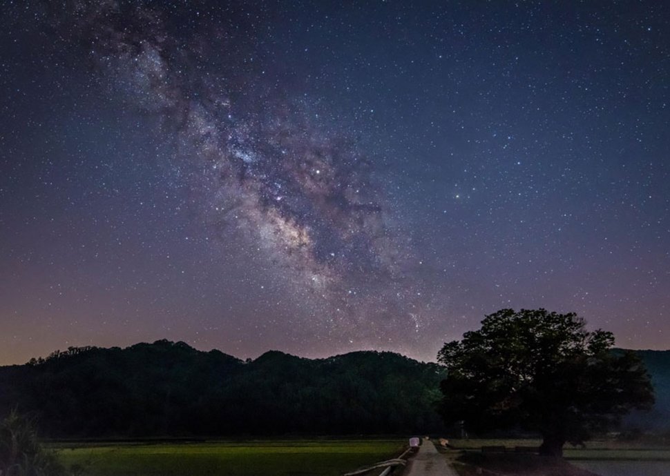 Ein Stern als Geschenk.