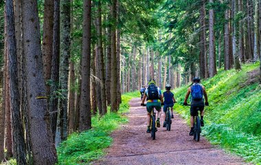 Bewegung in natürlicher Umgebung senkt Stresshormone messbar.