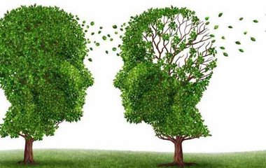 Demenz – was man heute über ihre Entstehung weiss