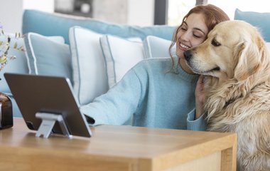 Eine Hundeversicherung schützt vor unkalkulierbaren Risiken.