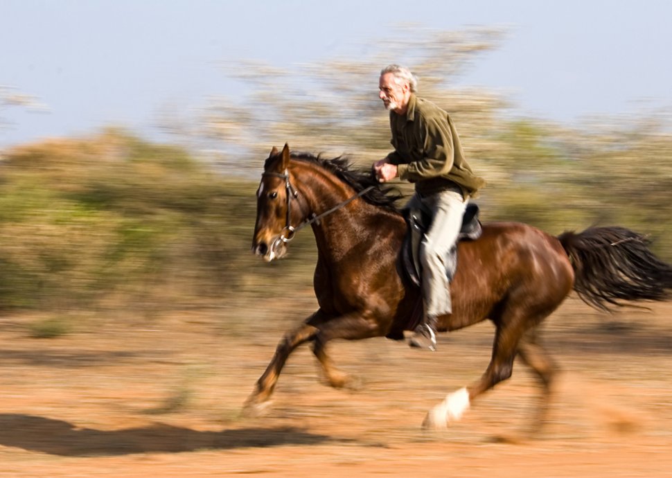 Reiten, Reitsport, Hobby, Tierliebe, Training