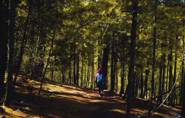 Wandern: die besten Kniffs für eine unfallfreie Saison