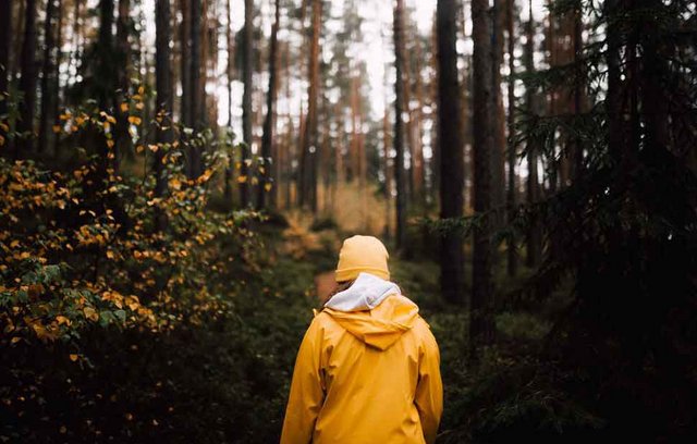 Weshalb Spaziergänge wichtig für die Psyche sind