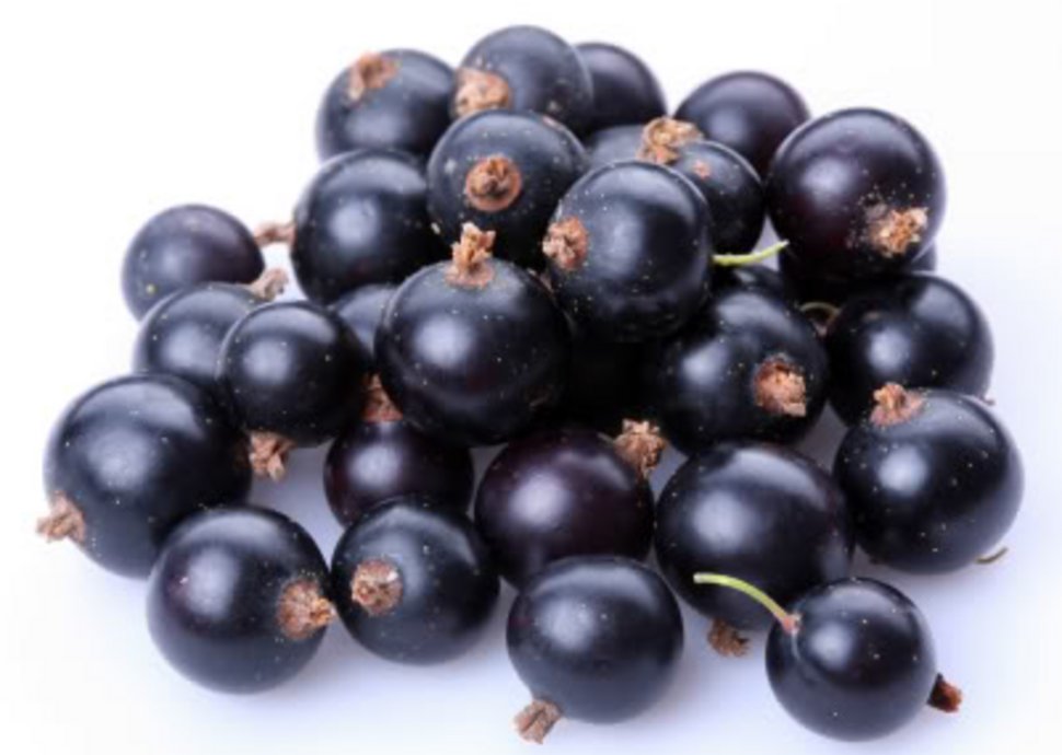 Die Vorteile & Wirkungen der Acai Beeren Frucht Die Vorteile & Wirkungen der Acai Beeren Frucht